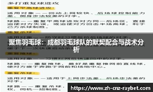 聚焦羽毛球：成都羽毛球队的默契配合与战术分析